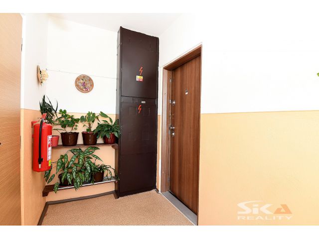 Obrázek k zakázce č.: 715522