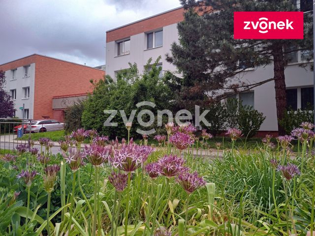 Obrázek k zakázce č.: 716572