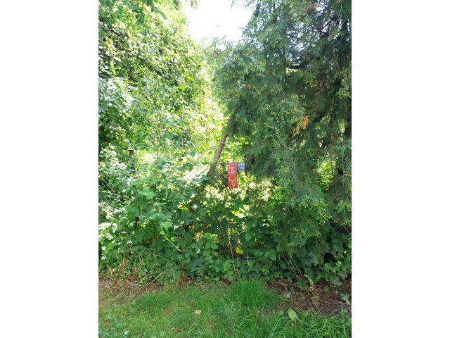 Obrázek k zakázce č.: 721872