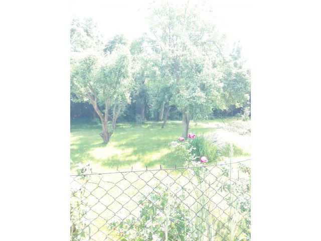 Obrázek k zakázce č.: 721872