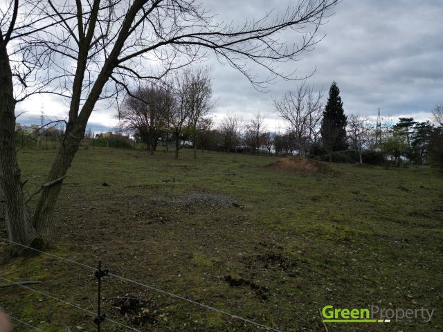 Obrázek k zakázce č.: 713682