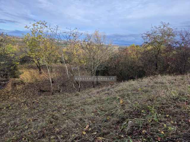 Obrázek k zakázce č.: 723201