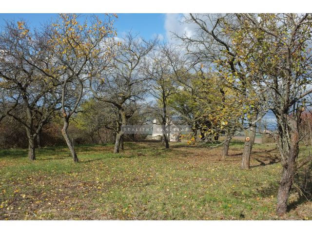 Obrázek k zakázce č.: 723701