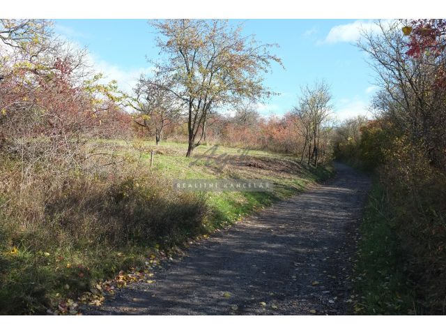 Obrázek k zakázce č.: 723701