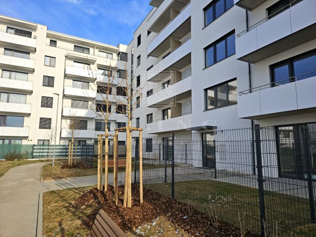 Obrázek k zakázce č.: 725291