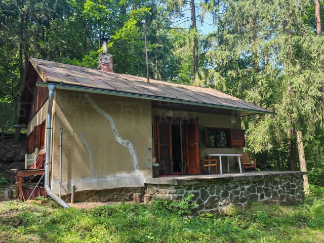 Obrázek k zakázce č.: 719252