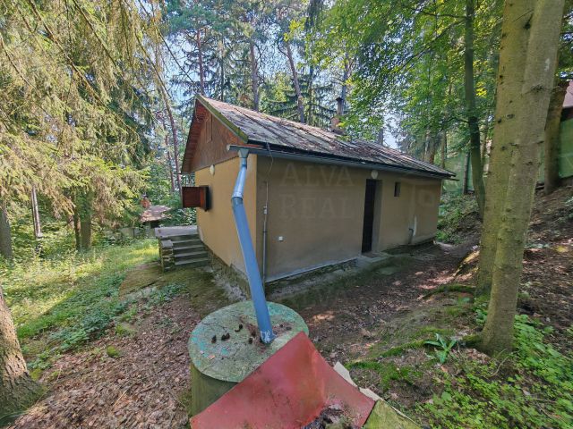 Obrázek k zakázce č.: 719252