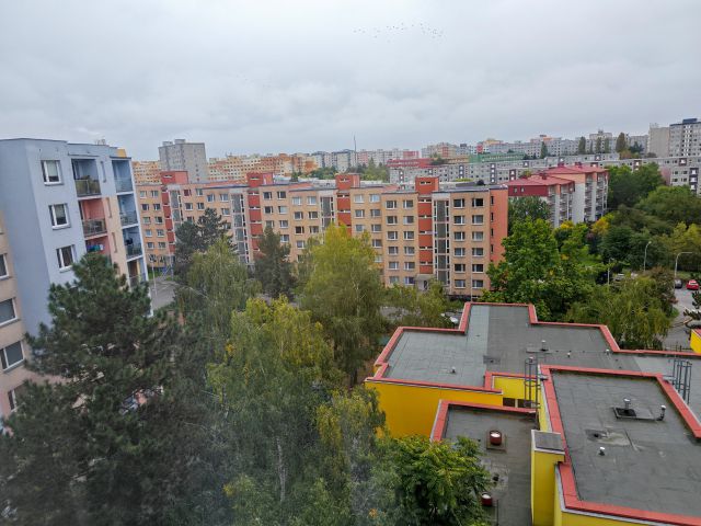 Obrázek k zakázce č.: 710962